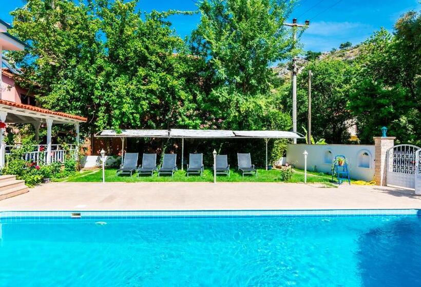 ホテル Calypso Cozy Suites