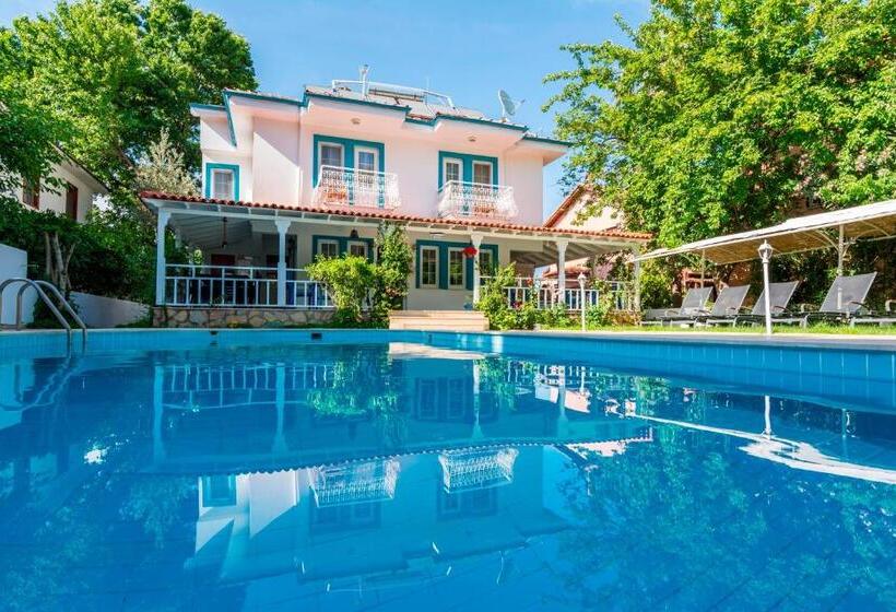 ホテル Calypso Cozy Suites