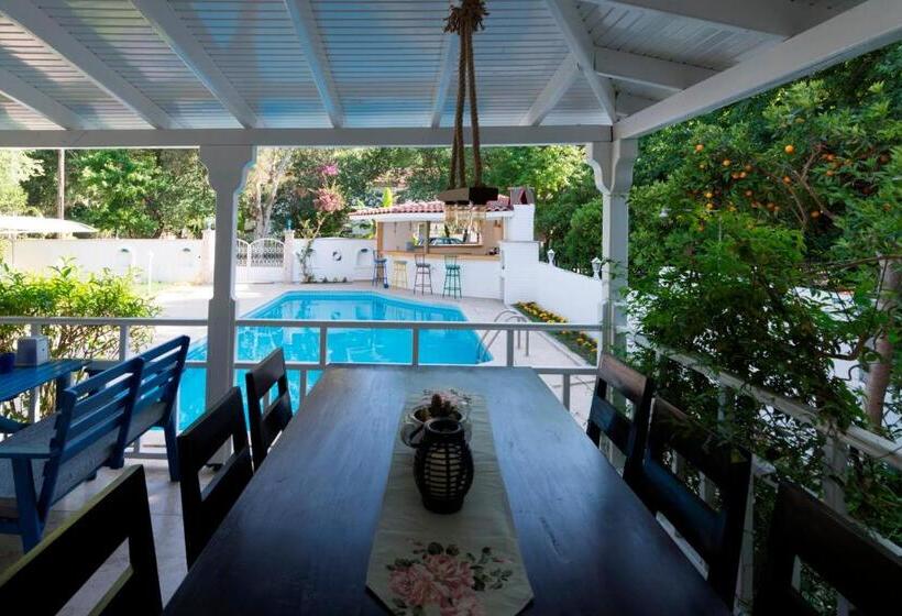 ホテル Calypso Cozy Suites