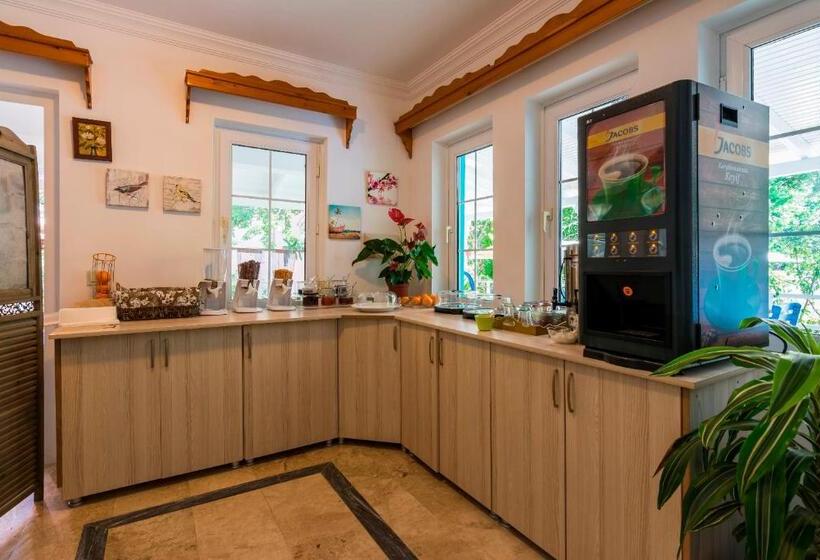 ホテル Calypso Cozy Suites