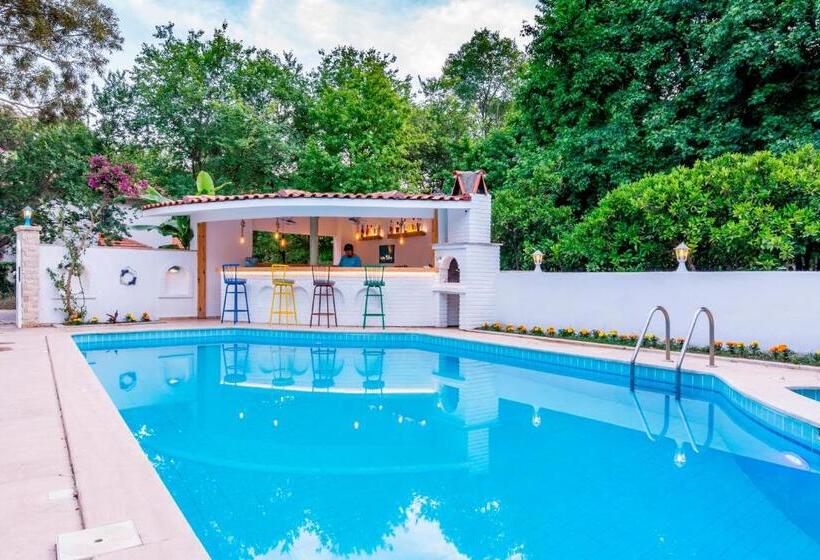 ホテル Calypso Cozy Suites