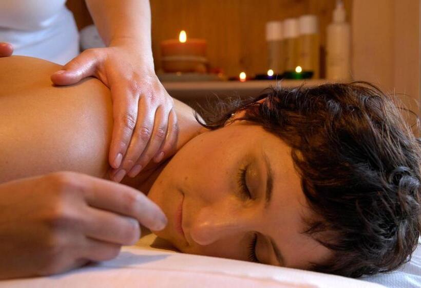 فندق Schwarzer Adler