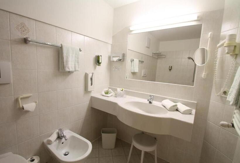 فندق Schwarzer Adler