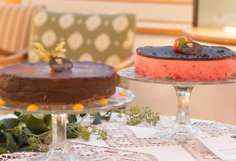 ホテル Schwarzer Adler