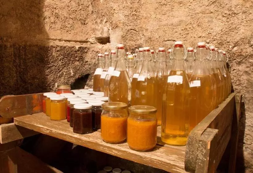 ホテル Schwarzer Adler