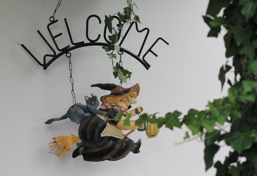 فندق Schwarzer Adler