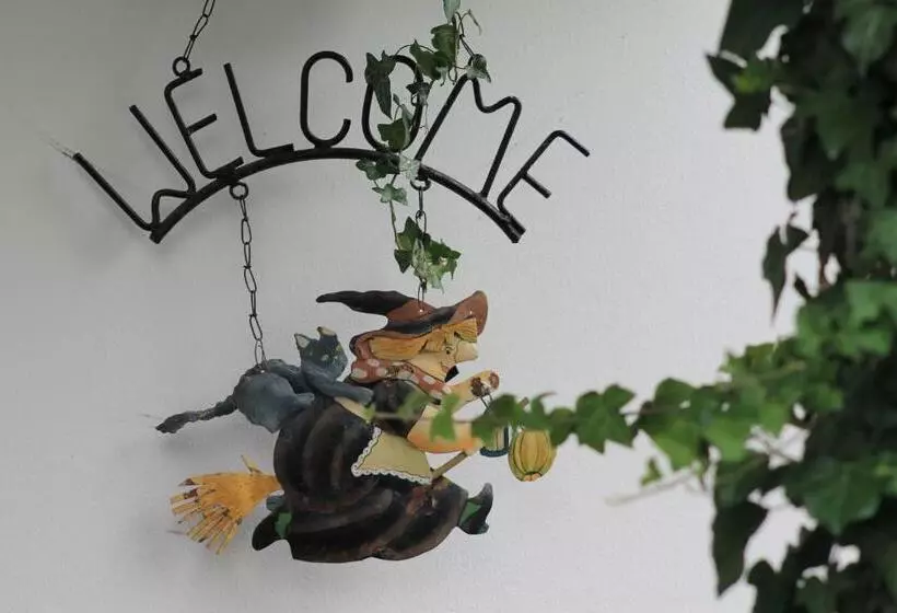 ホテル Schwarzer Adler