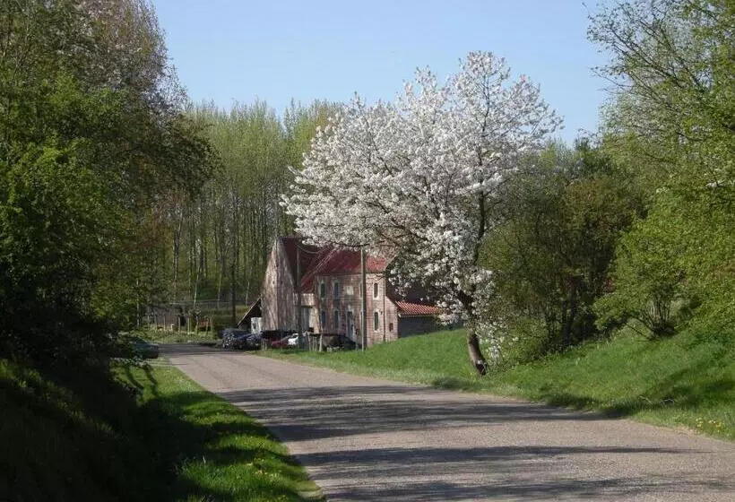 تختخواب و صبحانه De Verborgen Parel