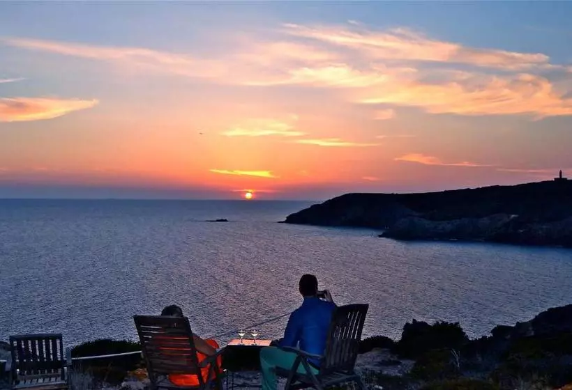 ベッドアンドブレックファースト Poecylia