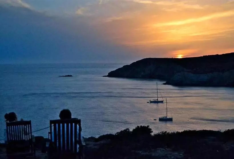 ベッドアンドブレックファースト Poecylia