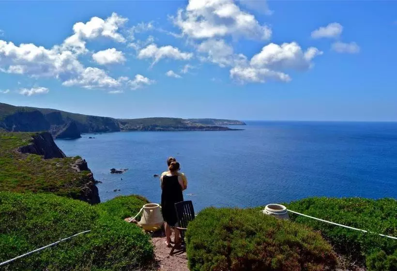 ベッドアンドブレックファースト Poecylia