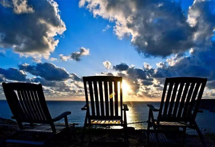 ベッドアンドブレックファースト Poecylia