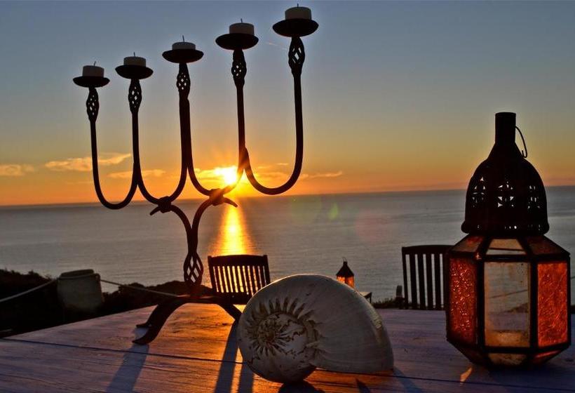 Bed and Breakfast Poecylia