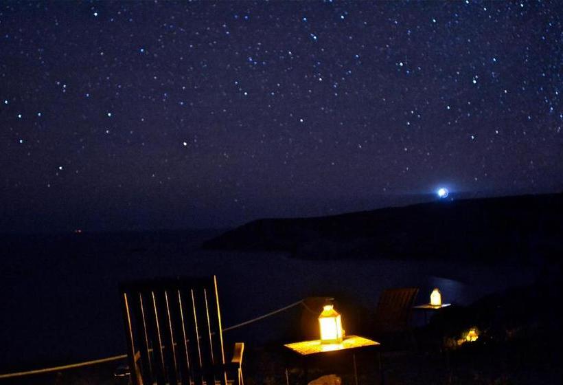 Bed and Breakfast Poecylia