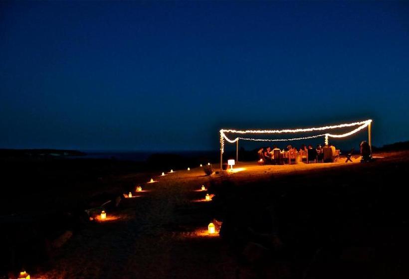 Bed and Breakfast Poecylia