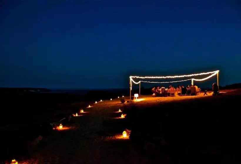 ベッドアンドブレックファースト Poecylia