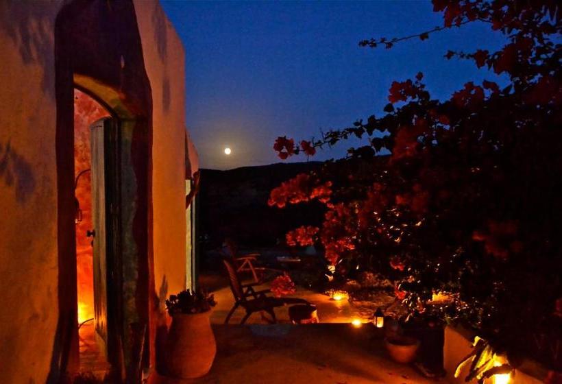 Bed and Breakfast Poecylia