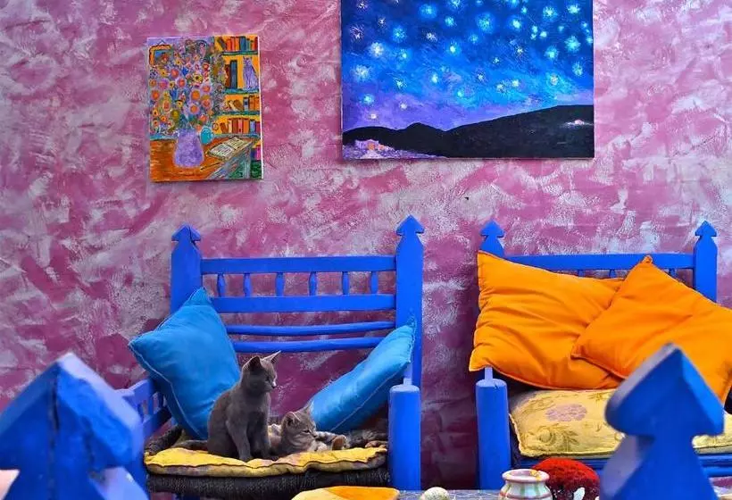 ベッドアンドブレックファースト Poecylia