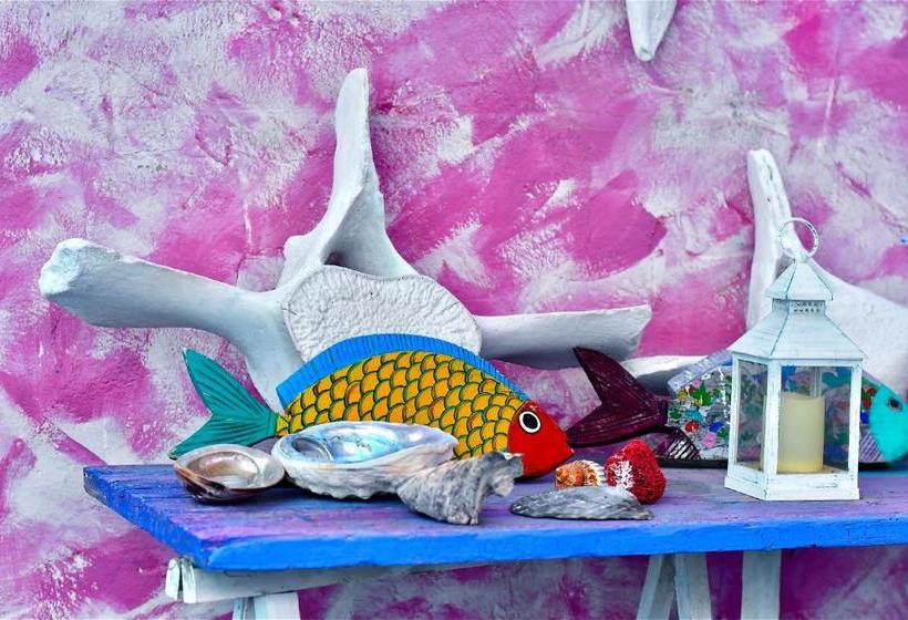 Bed and Breakfast Poecylia