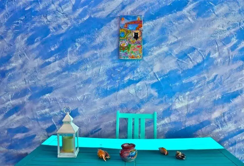 ベッドアンドブレックファースト Poecylia