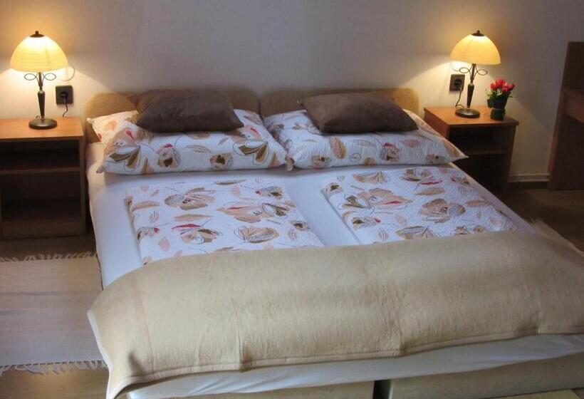 צימר Zsuzsa Panzió