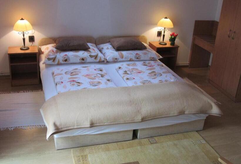 צימר Zsuzsa Panzió