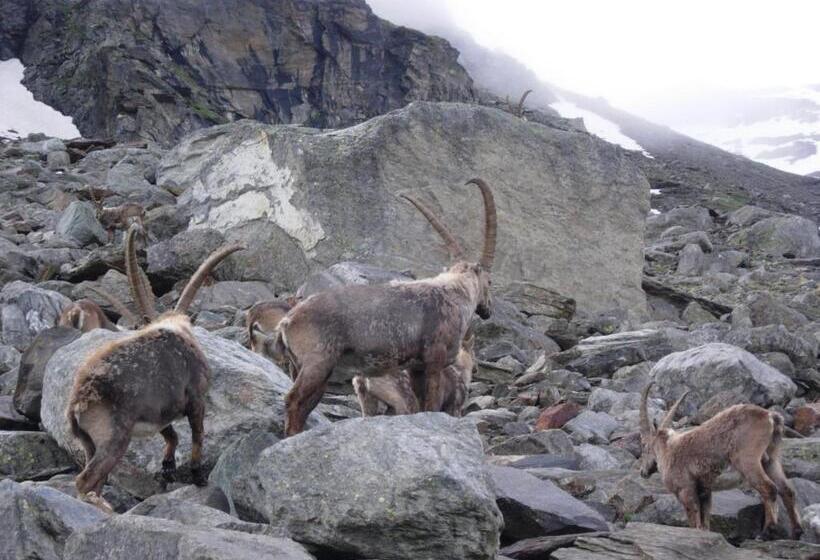 בית מלון כפרי Paradisia