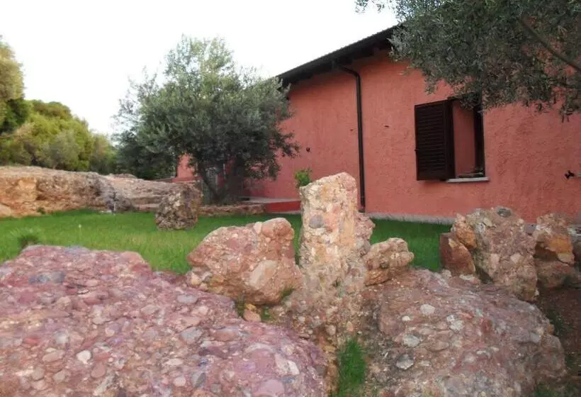 Il Vigneto B&b