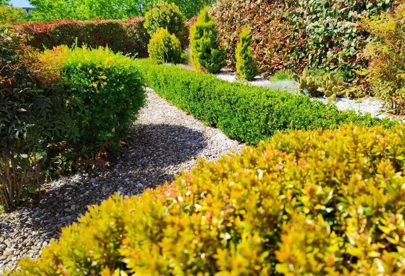 Aamiaismajoitus (B&B) Mamma Puglia Suite & Breakfast