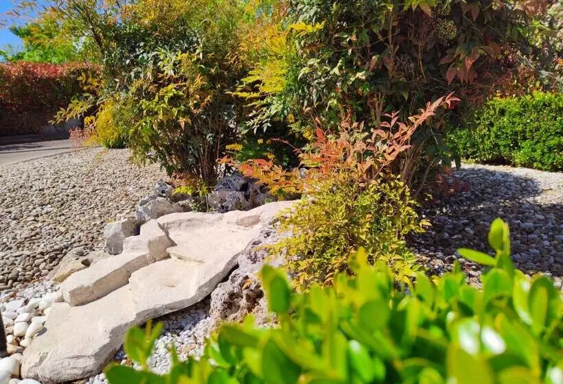 Aamiaismajoitus (B&B) Mamma Puglia Suite & Breakfast