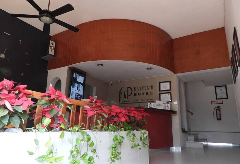 Hotel Pastora