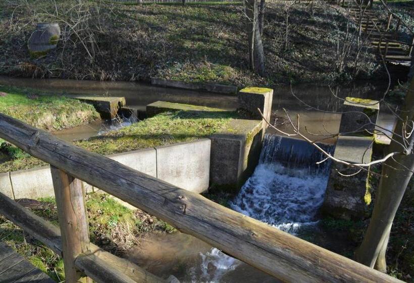בית מלון כפרי Waldecker Taverne