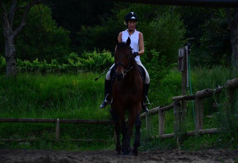 مبيت وإفطار Agriturismo Locanda Del Pesco