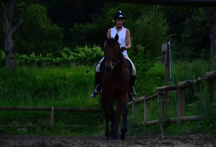 Aamiaismajoitus (B&B) Agriturismo Locanda Del Pesco