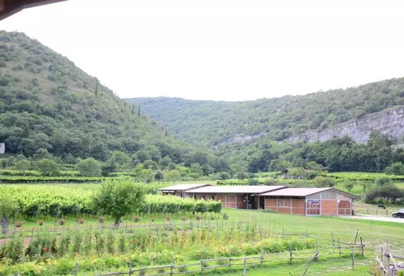 Aamiaismajoitus (B&B) Agriturismo Locanda Del Pesco