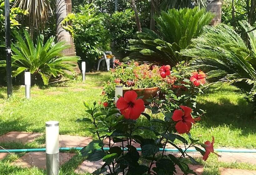 住宿加早餐 Beatrice Home