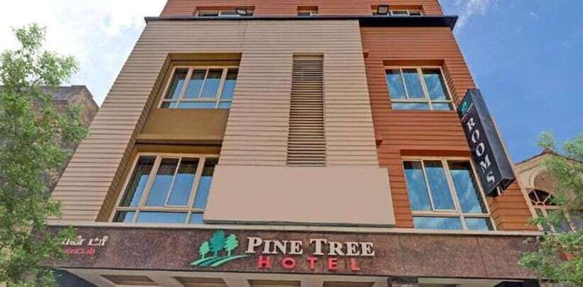 Hotel Pine Tree Boutique