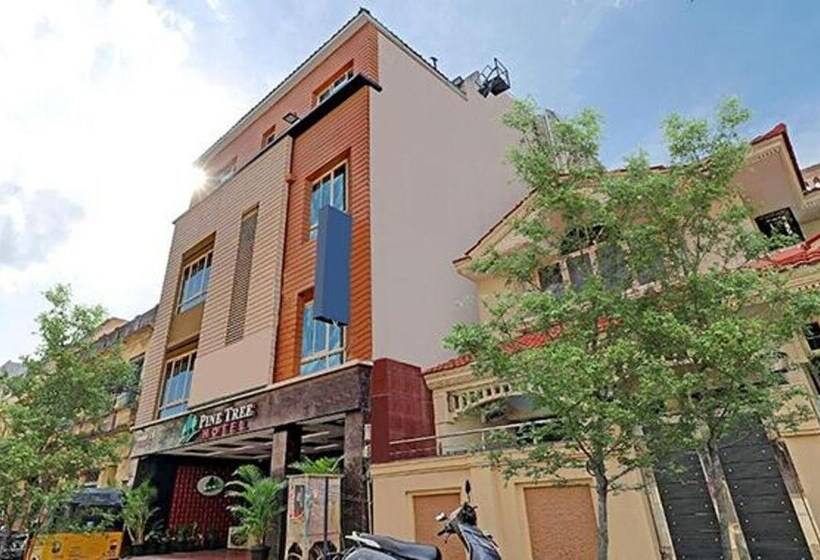 Hotel Pine Tree Boutique