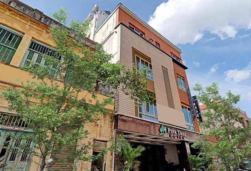 Hotel Pine Tree Boutique