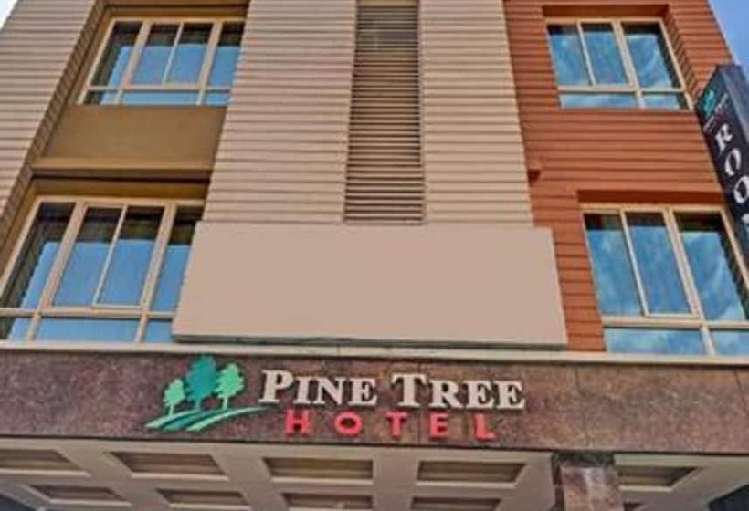 Hotel Pine Tree Boutique