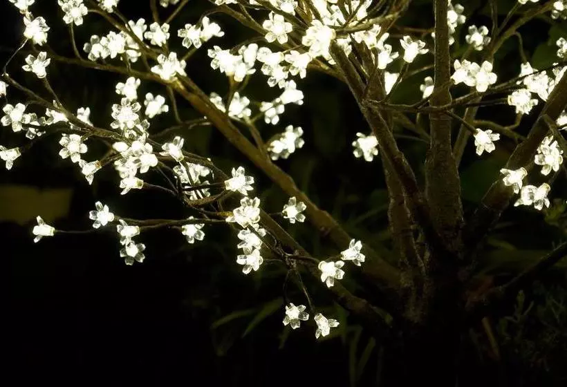 ホテル Villa Delibera