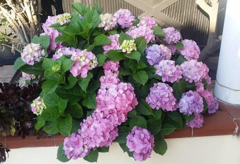 B&b Baia Dello Stretto