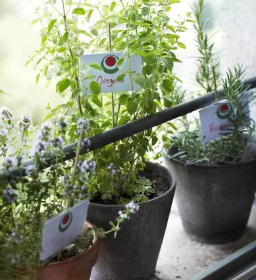 Aamiaismajoitus (B&B) Il Ghiottone Umbro