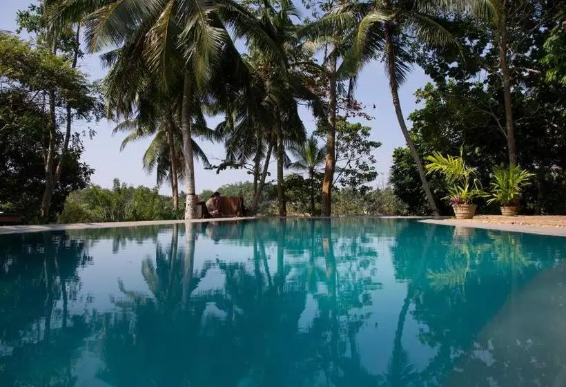 تختخواب و صبحانه Stone Well Garden Villa