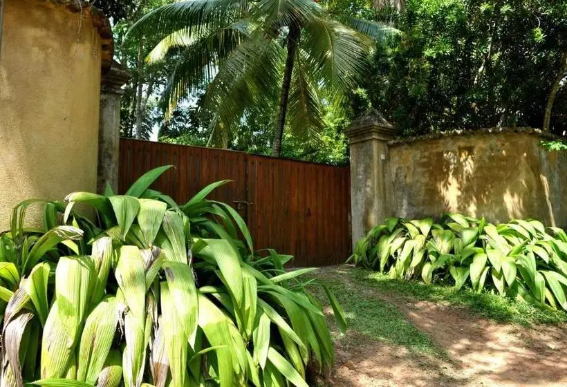 تختخواب و صبحانه Stone Well Garden Villa