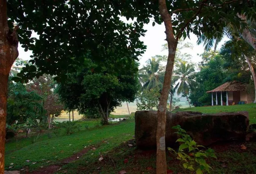 تختخواب و صبحانه Stone Well Garden Villa