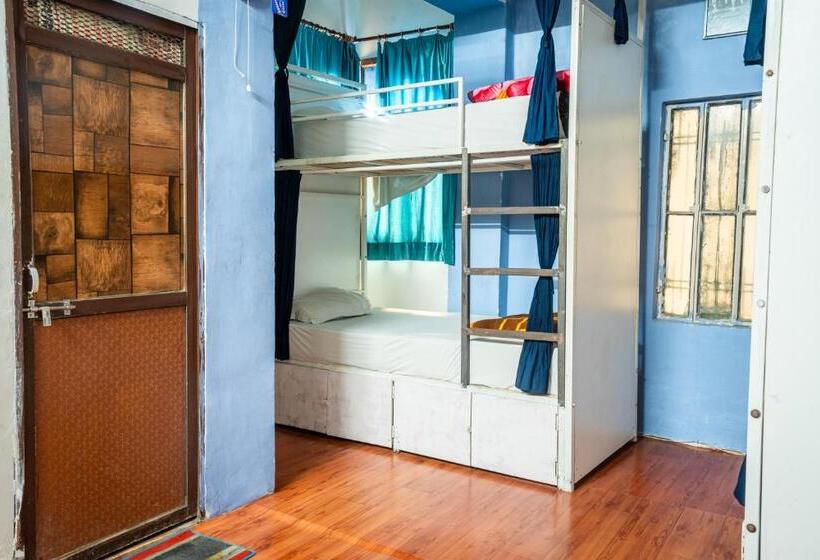 Vandrarhem Dreamyard Udaipur