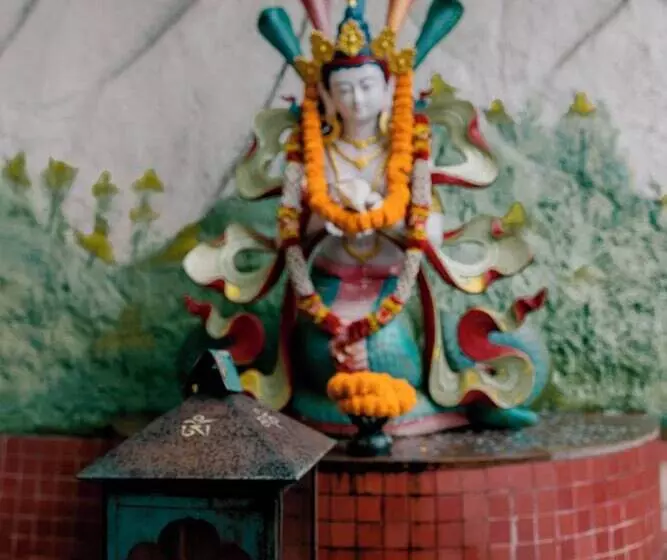 Hotelli Yangthang Heritage