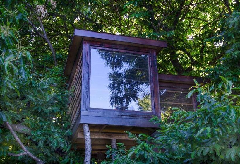 Hostel Chili Kiwi Lakefront Backpackers