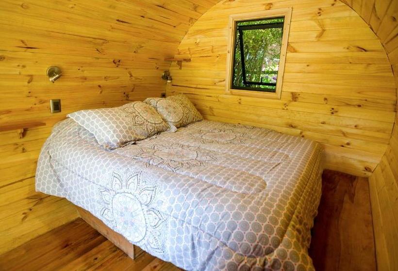 Hostel Chili Kiwi Lakefront Backpackers